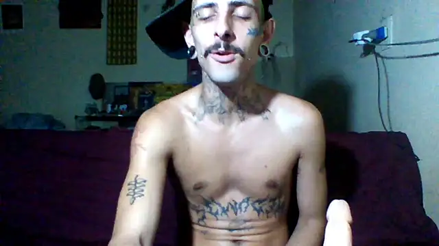 Snapshot of sellvageria chatting on February 20, 2026, 7:27 pm sellvageria online show from February 20, 2026, 7:27 pm