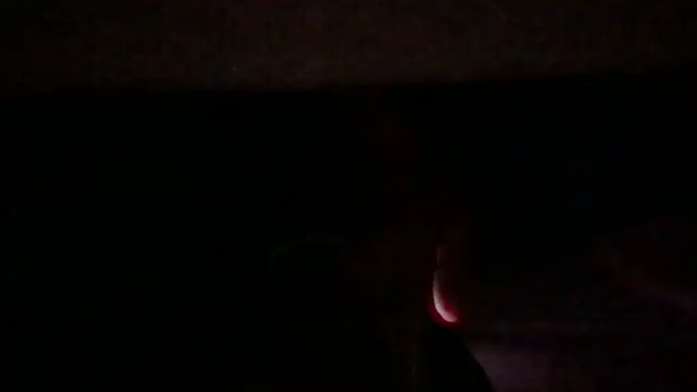 loveofbea online show from February 13, 2026, 12:16 pm