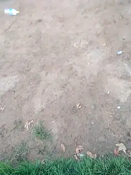 Snapshot of KINGJACKOFF chatting on December 26, 2024, 3:27 am KINGJACKOFF online show from December 26, 2024, 3:27 am