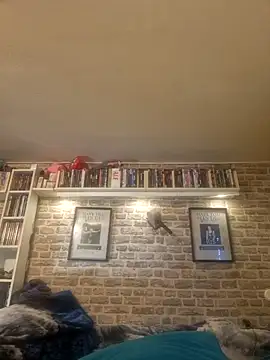 Snapshot of Fantasie-Hot-Sarah chatting on February 24, 2025, 9:43 am Fantasie-Hot-Sarah online show from February 24, 2025, 9:43 am