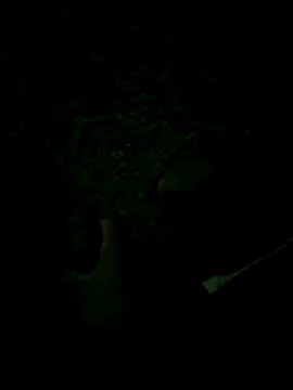 Snapshot of Philippe1_ chatting on November 7, 2025, 12:37 am Philippe1 online show from November 7, 2025, 12:37 am
