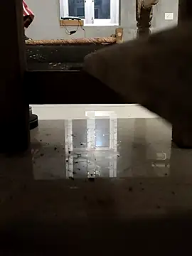 MAN MOHINI 21 online show from January 23, 2025, 1:45 pm