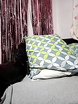 Joagorditahot online show from November 8, 2025, 11:30 pm