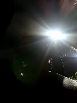 Siriss boyrag online show from March 24, 2026, 2:22 am