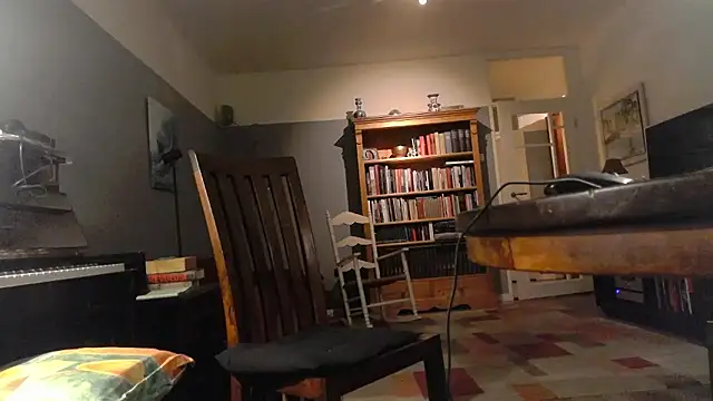 Snapshot of RolfS chatting on January 11, 2026, 11:44 pm RolfS online show from January 11, 2026, 11:44 pm