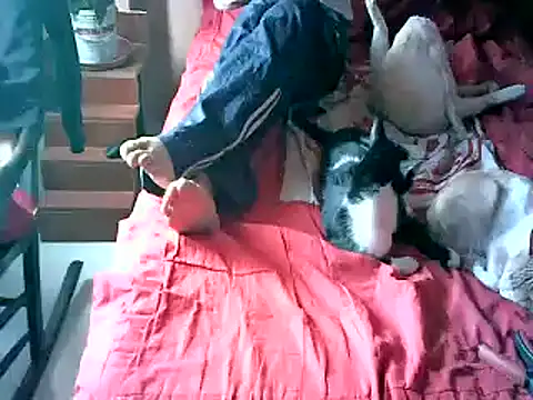 2mgars online show from September 22, 2025, 8:48 pm