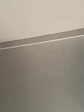 calleaaaa online show from October 24, 2025, 9:19 am