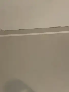 calleaaaa online show from October 5, 2025, 11:34 am