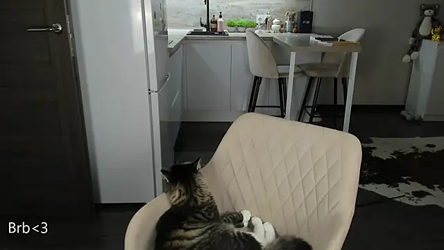 nilliluv online show from March 19, 2026, 11:16 pm