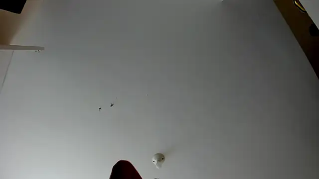 Snapshot of evely_coelloo chatting on November 5, 2025, 4:10 pm evely coelloo online show from November 5, 2025, 4:10 pm