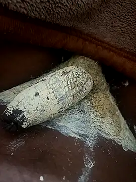 CuteyCouple online show from March 22, 2026, 6:53 pm