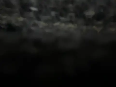  my ass  online show from February 9, 2025, 10:00 pm