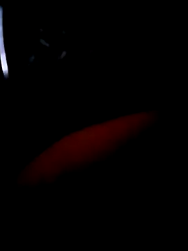 pascalino100 online show from April 4, 2026, 12:01 pm