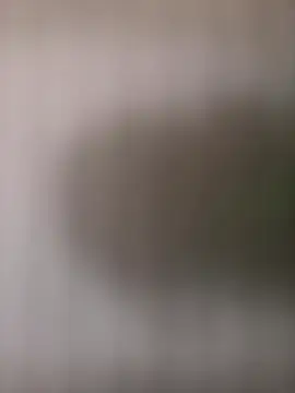 mrwright878787 online show from October 4, 2025, 1:45 pm