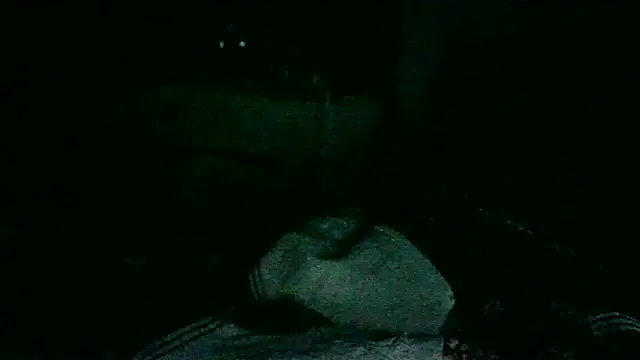 DI4MOND FIR3 online show from November 18, 2025, 10:51 am