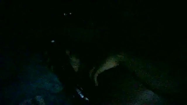 DI4MOND FIR3 online show from November 7, 2025, 9:58 am