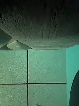 dulce celeste15 online show from November 15, 2025, 3:05 pm