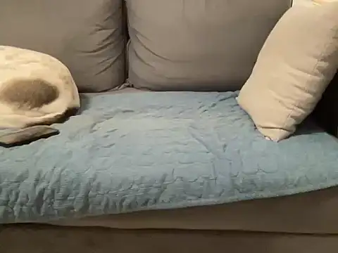 4small4inchlol online show from February 20, 2026, 11:50 pm