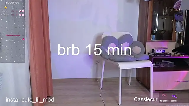 art phoenix online show from February 28, 2025, 8:07 pm