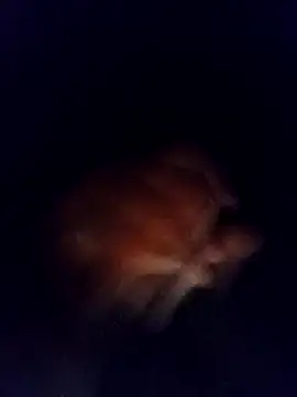 Snapshot of jaxyboys chatting on February 3, 2025, 4:46 am jaxyboys online show from February 3, 2025, 4:46 am