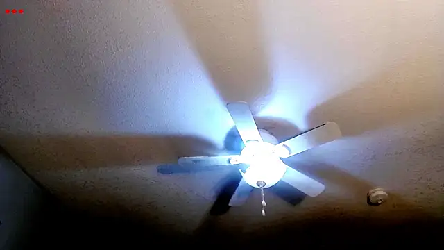 VanceFontaine online show from March 29, 2026, 4:25 am