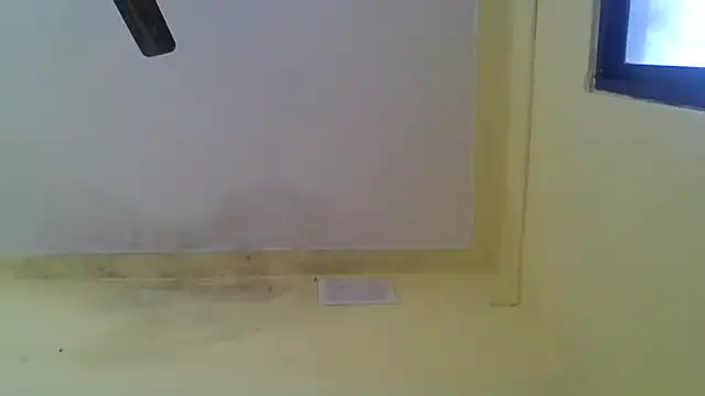 Nitya-Mahesh online show from January 20, 2025, 9:24 am