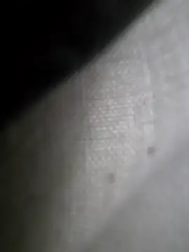 hungarian dick online show from February 2, 2025, 11:18 am