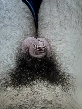 hungarian dick online show from October 19, 2025, 10:51 am