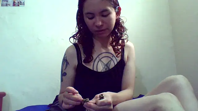 CELEna098rs707 online show from November 12, 2025, 3:49 pm