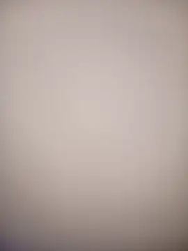 bustybillies online show from February 18, 2026, 12:23 pm