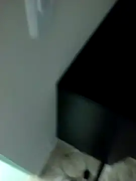 lm279 online show from February 17, 2025, 6:28 pm