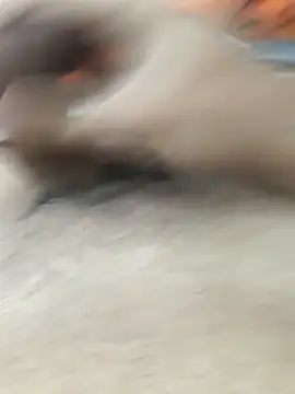 lm279 online show from February 11, 2026, 3:45 pm