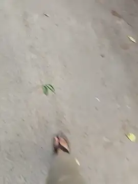 Ishan003 online show from September 20, 2025, 10:31 am