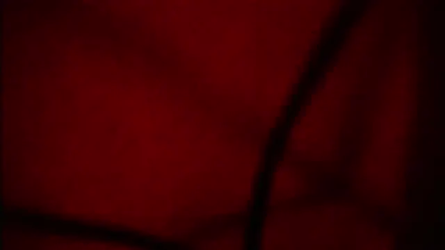 Nathaly love96 online show from September 12, 2025, 6:07 pm