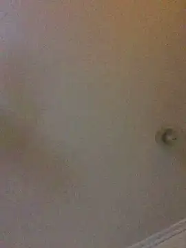 ty2003x33 online show from December 30, 2024, 11:59 am