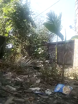 AssamSilchar93 online show from February 8, 2026, 6:55 am