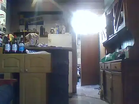 ar Lily online show from December 8, 2024, 6:17 pm