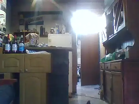 ar Lily online show from December 8, 2024, 1:36 pm