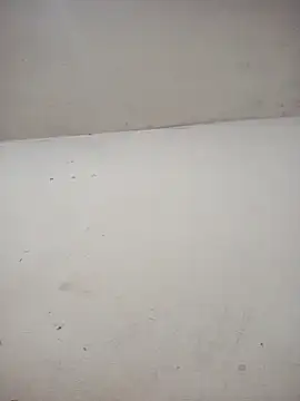 ambarlennoix online show from December 3, 2025, 6:25 am