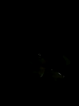 Snapshot of demonpt3 chatting on November 1, 2025, 5:47 am demonpt3 online show from November 1, 2025, 5:47 am