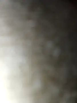 Snapshot of Sexybeer2005 chatting on December 1, 2025, 7:20 am Sexybeer2005 online show from December 1, 2025, 7:20 am