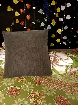 Sony-Model online show from November 15, 2025, 3:16 pm