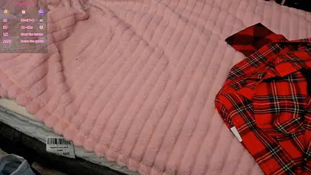 Snapshot of ZeldaDwight chatting on December 20, 2024, 4:57 pm ZeldaDwight online show from December 20, 2024, 4:57 pm