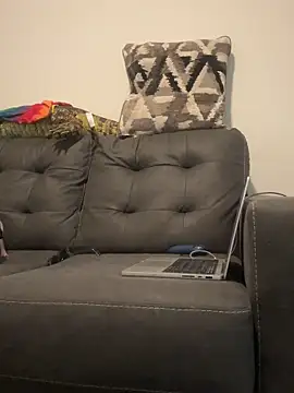 RavenRayyy online show from November 30, 2025, 10:05 am