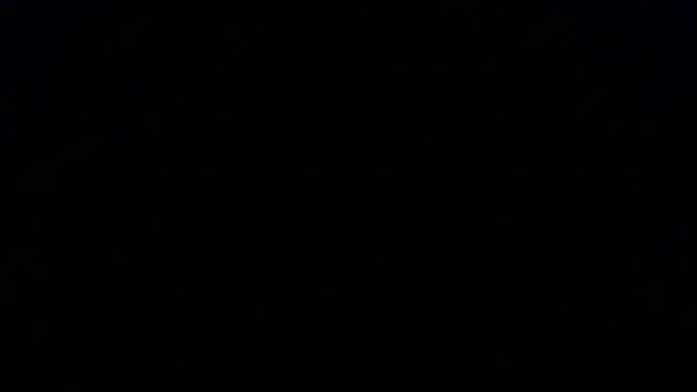 Snapshot of Kashtanka_ chatting on November 22, 2025, 12:59 pm Kashtanka online show from November 22, 2025, 12:59 pm