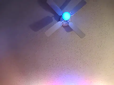 big8dall online show from February 15, 2026, 2:05 pm