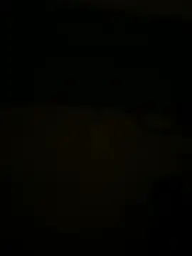 tran3 online show from July 24, 2026, 1:12 am