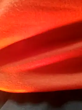 Snapshot of Wild-Honey chatting on January 16, 2025, 3:24 pm Wild-Honey online show from January 16, 2025, 3:24 pm