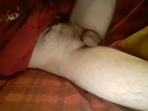 Ariete80s online show from March 10, 2025, 6:16 am