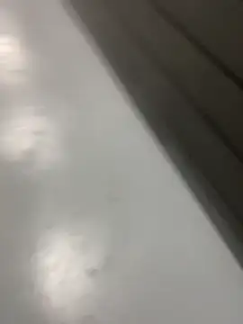 zeekBbc online show from October 25, 2025, 1:38 am